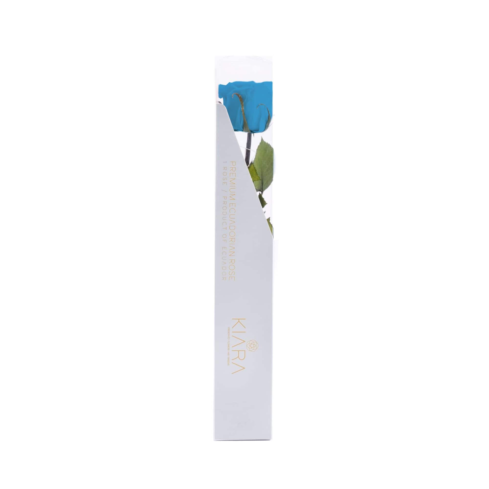 Fantasy Farms 11.8" Preserved Rose Stem